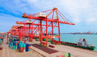 違反海關監管規定將面臨哪些風險 企業管理咨詢